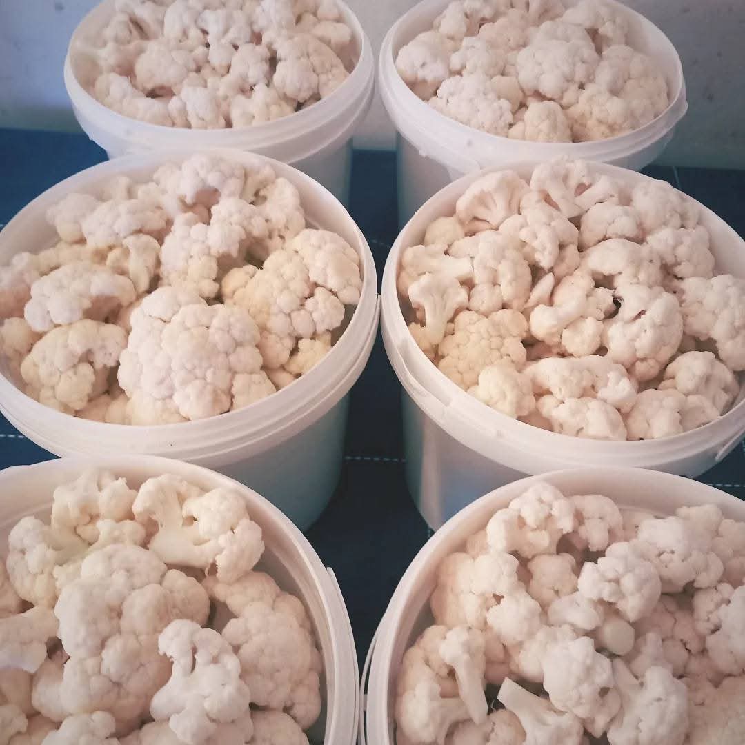 Kiseli karfiol · 3l